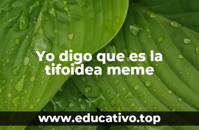Yo digo que es la tifoidea meme