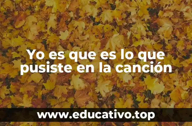 Yo es que es lo que pusiste en la canción