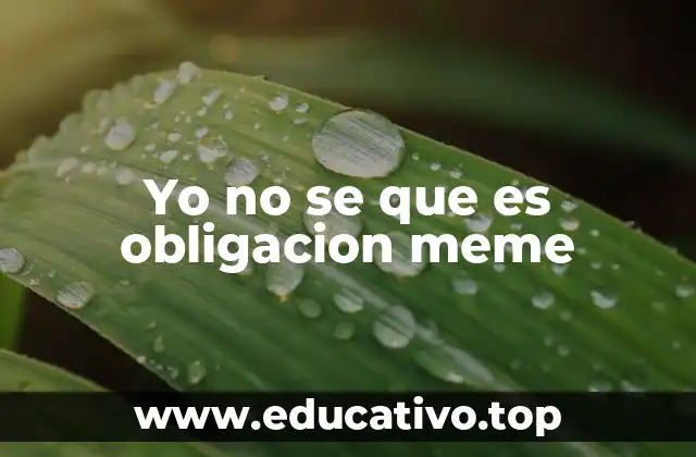 Yo no se que es obligacion meme
