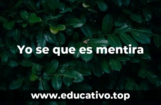 Yo se que es mentira