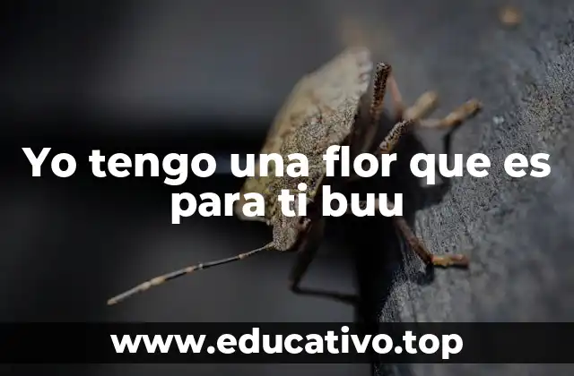 Yo tengo una flor que es para ti buu