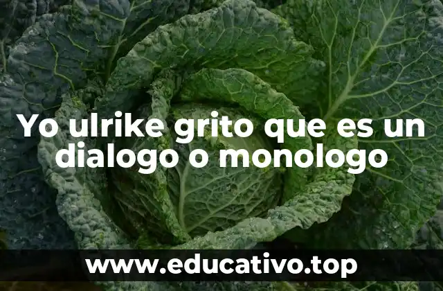 Yo ulrike grito que es un dialogo o monologo