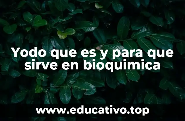 Yodo que es y para que sirve en bioquimica