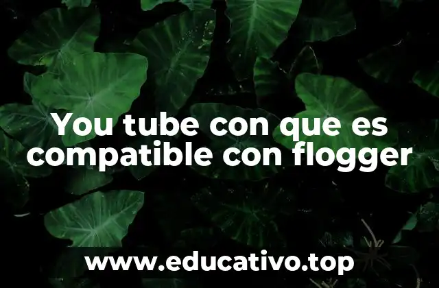 You tube con que es compatible con flogger