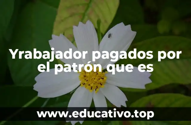 La dinámica entre quien paga y quien trabaja