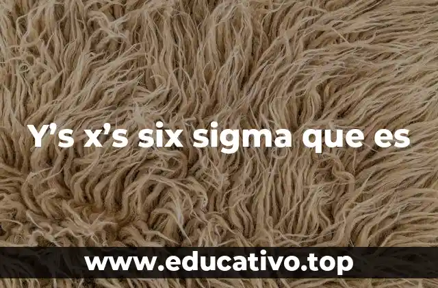 Y’s x’s six sigma que es