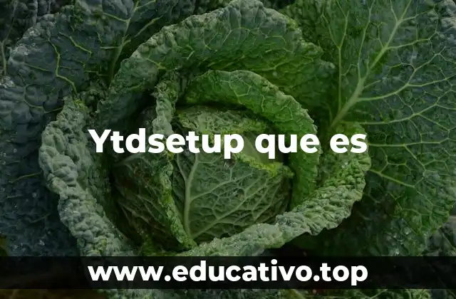 Ytdsetup que es