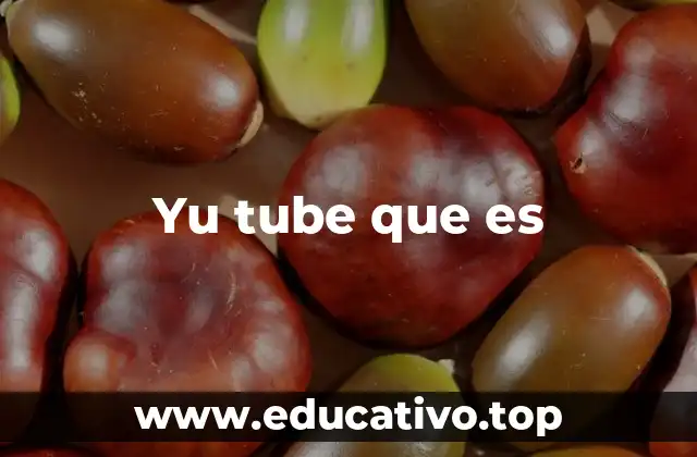 Yu tube que es