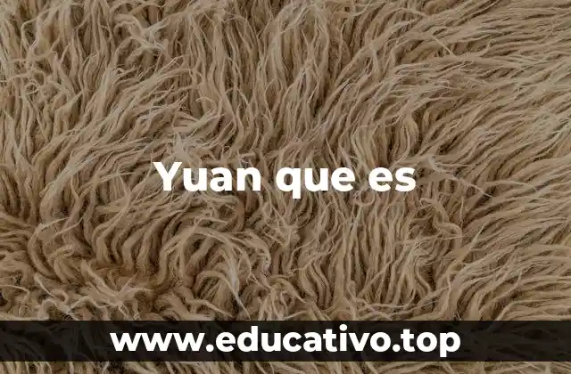 Yuan que es