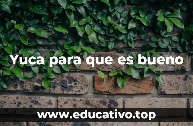 Yuca para que es bueno