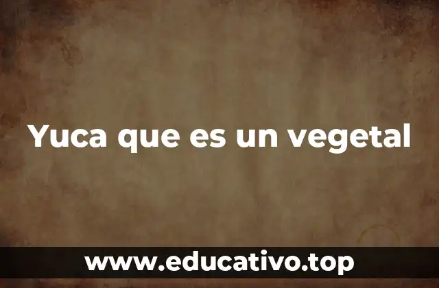 Yuca que es un vegetal