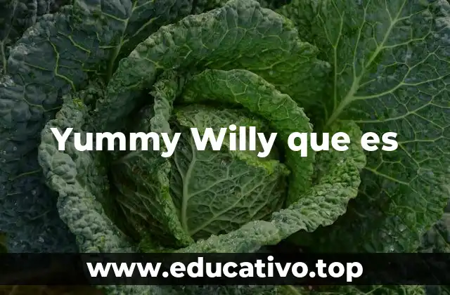 Yummy Willy que es