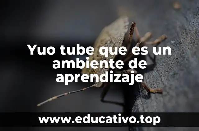 Yuo tube que es un ambiente de aprendizaje