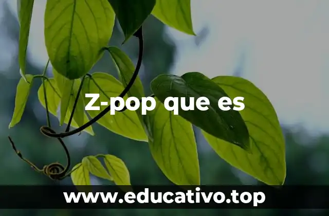 Z-pop que es
