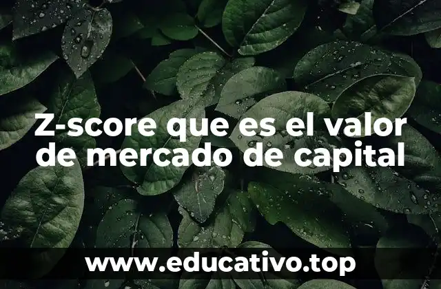 Z-score que es el valor de mercado de capital