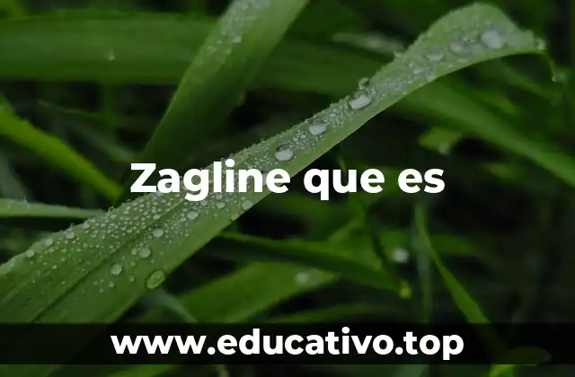 Zagline que es