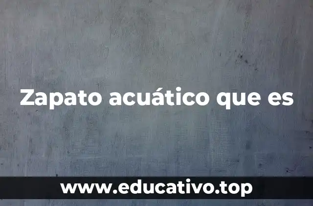 Zapato acuático que es