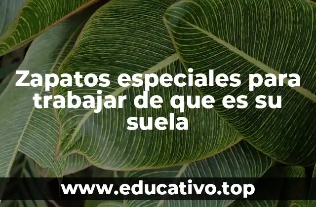 Zapatos especiales para trabajar de que es su suela
