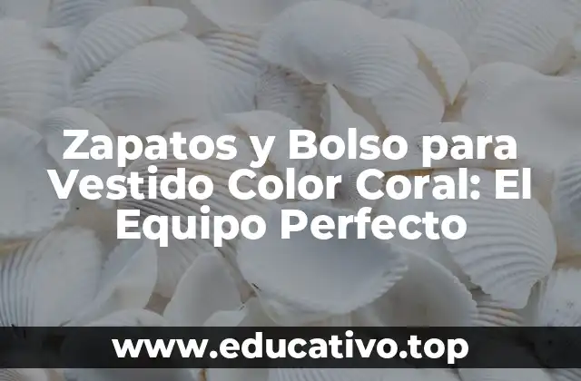 Zapatos y Bolso para Vestido Color Coral: El Equipo Perfecto
