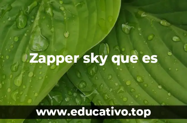 Zapper sky que es