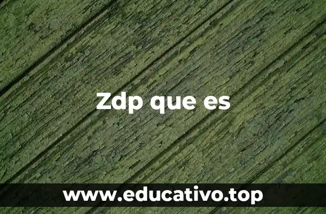 Zdp que es