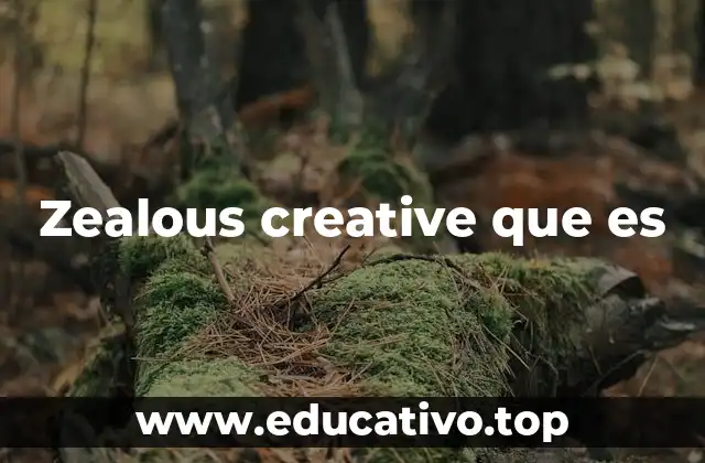 Zealous creative que es