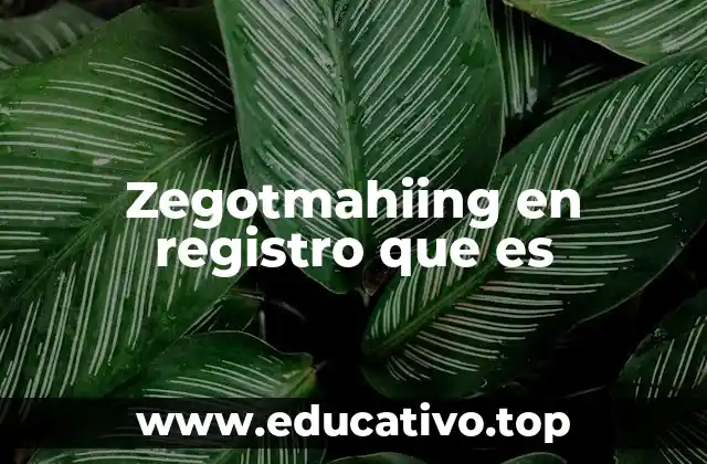 Zegotmahiing en registro que es