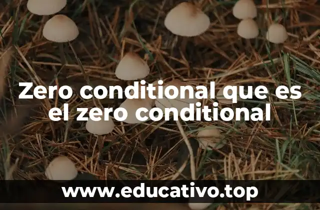 Zero conditional que es el zero conditional