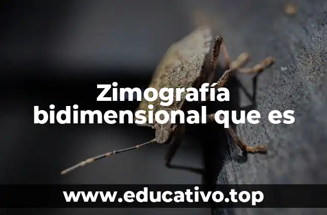Zimografía bidimensional que es