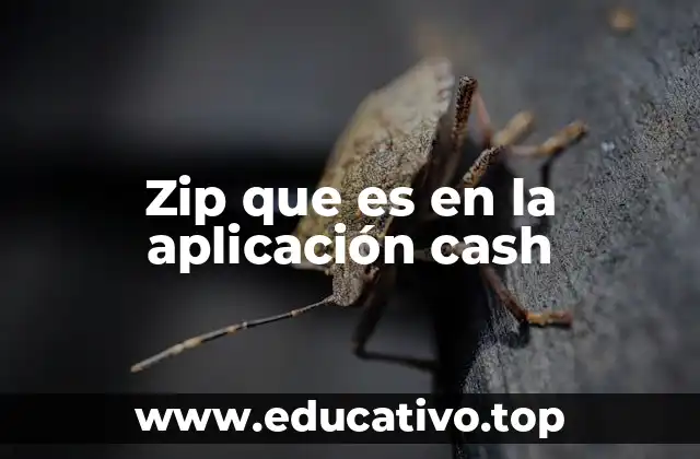 Zip que es en la aplicación cash