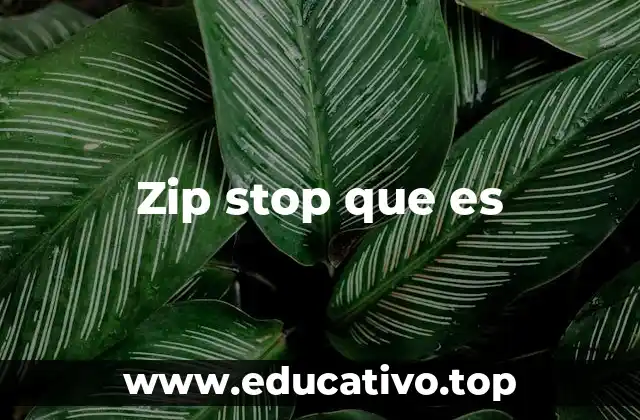 Zip stop que es