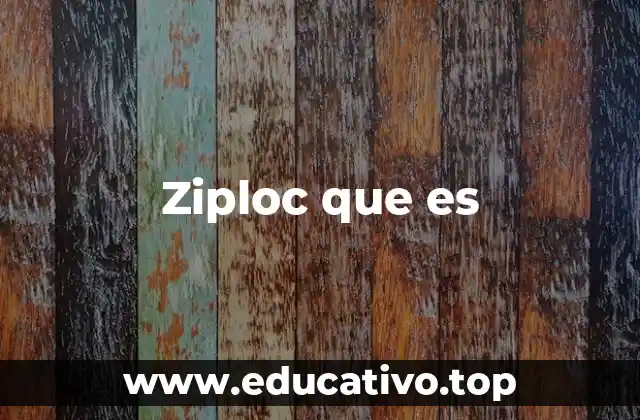 Ziploc que es