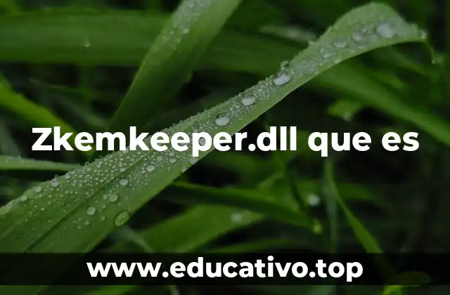 Zkemkeeper.dll que es