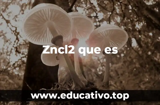Zncl2 que es