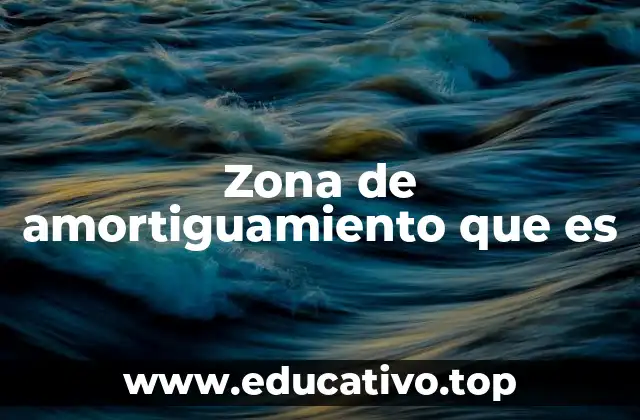 Zona de amortiguamiento que es