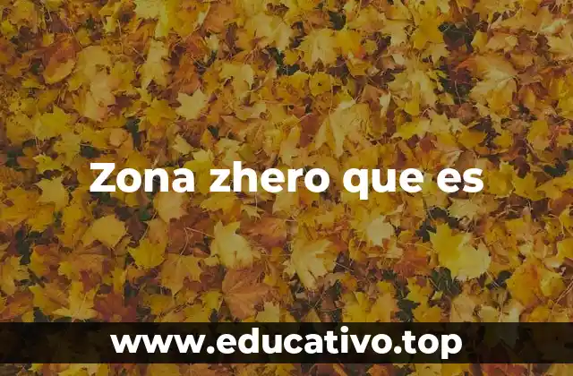 Zona zhero que es