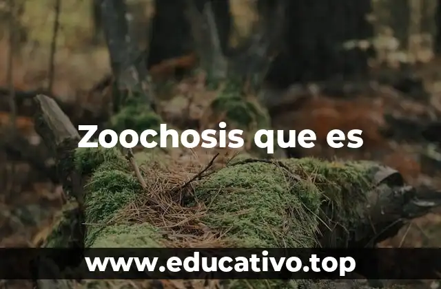 Zoochosis que es