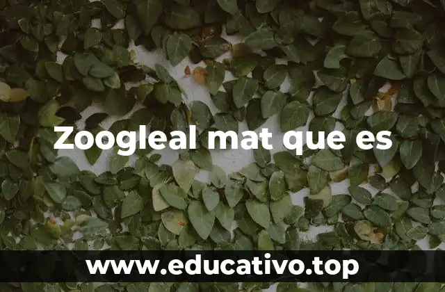 Zoogleal mat que es