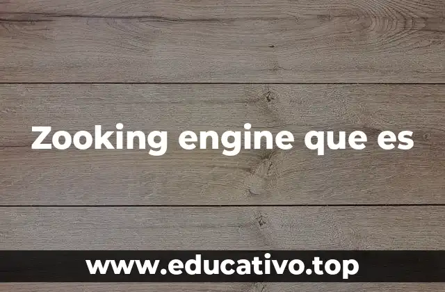 Zooking engine que es