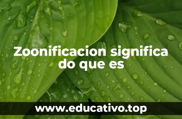 Zoonificacion significa do que es