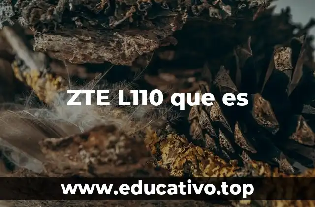 ZTE L110 que es