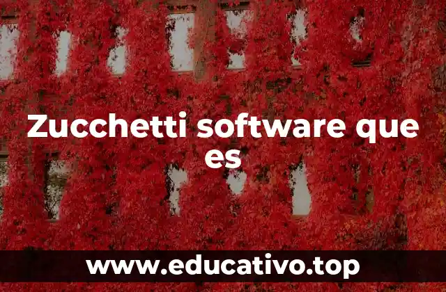 Zucchetti software que es