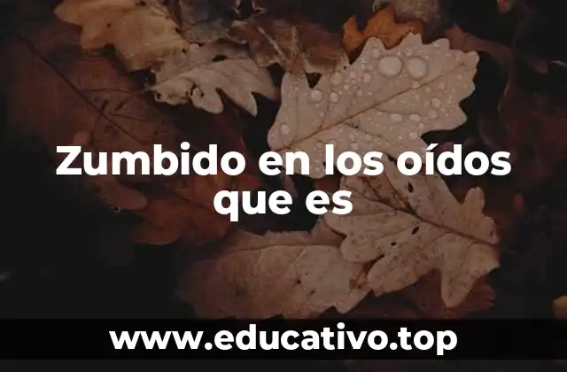 Zumbido en los oídos que es