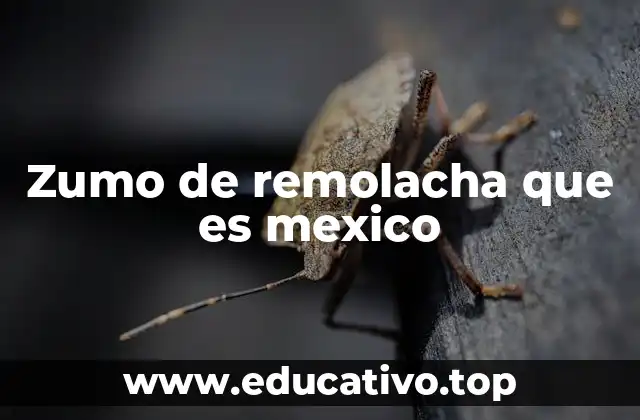 El zumo de remolacha como parte de la cultura culinaria mexicana