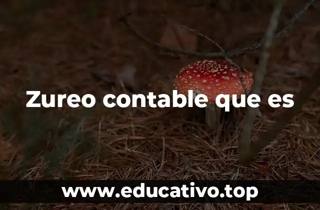 Zureo contable que es